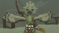 Tulin