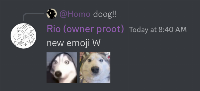 :Browhatglowup: (right)

Thanks Euclid for the dog pic