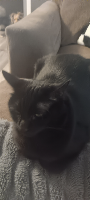 :3