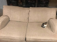 Me on the couch watching my phone waiting for people to text me