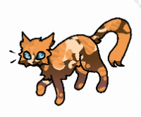 This is Ember, another kitty oc of mine that I love :3
She's very active and loves to play around! She loves ear scratches, head pats, and loafing x3
hope y'all like her!! ^^
(also, what do y'all want for my 15 sub special??)