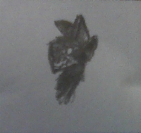 Yeah, first protogen drawing in my life, drew it at school. Its alright, nice that I acctualy found out how to draw them for the first time.