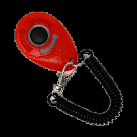 i got clicker trained >///<