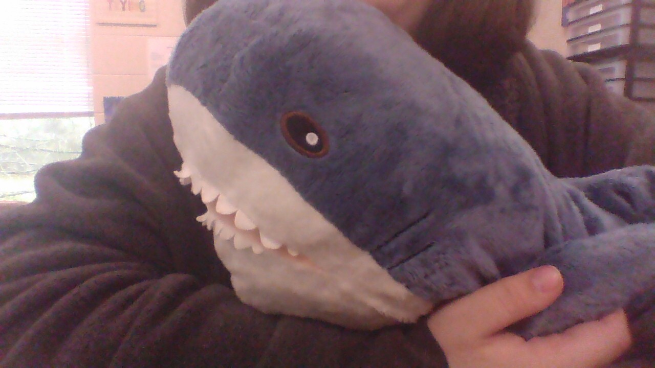 I was bored, so I brought this goober :3