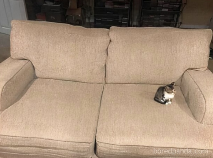 Me on the couch watching my phone waiting for people to text me