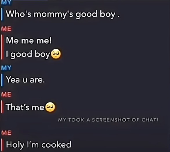 MY TOOK A SCREENSHOT OF CHAT!