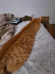 is it ok to keep a list of pepul you want to kill 

I'm going to therpy

if you act like this you should find help therpy or some thing r you mite do some thing you whold regrat