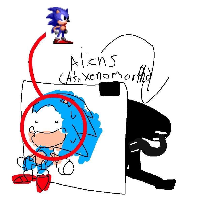 WHO THE HECK IS THAT BLUE RANDOM HEDHEHOD