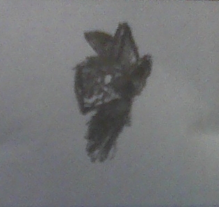 Yeah, first protogen drawing in my life, drew it at school. Its alright, nice that I acctualy found out how to draw them for the first time.