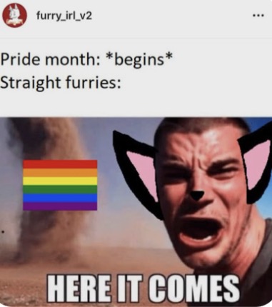 WE SHALL BE IMMUNE TO THE HOMOPHOBIA