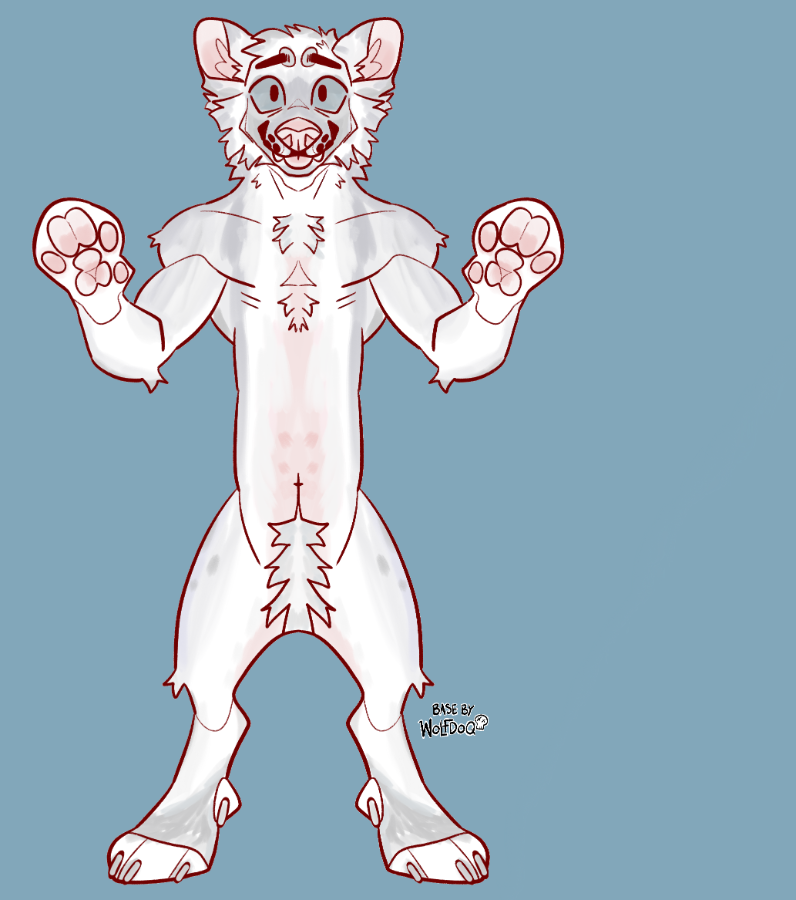 White dog